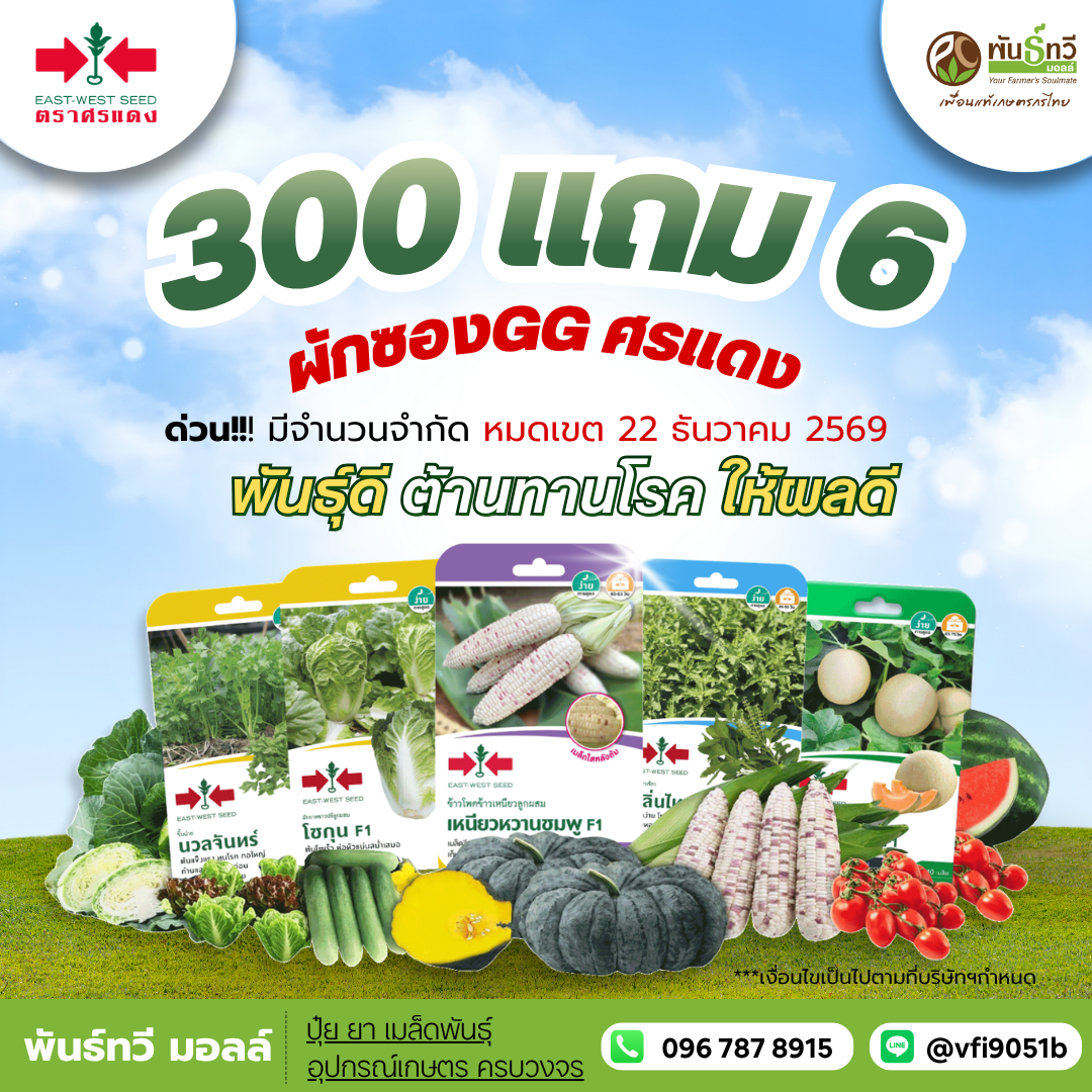 ศรแดงGG 300+6